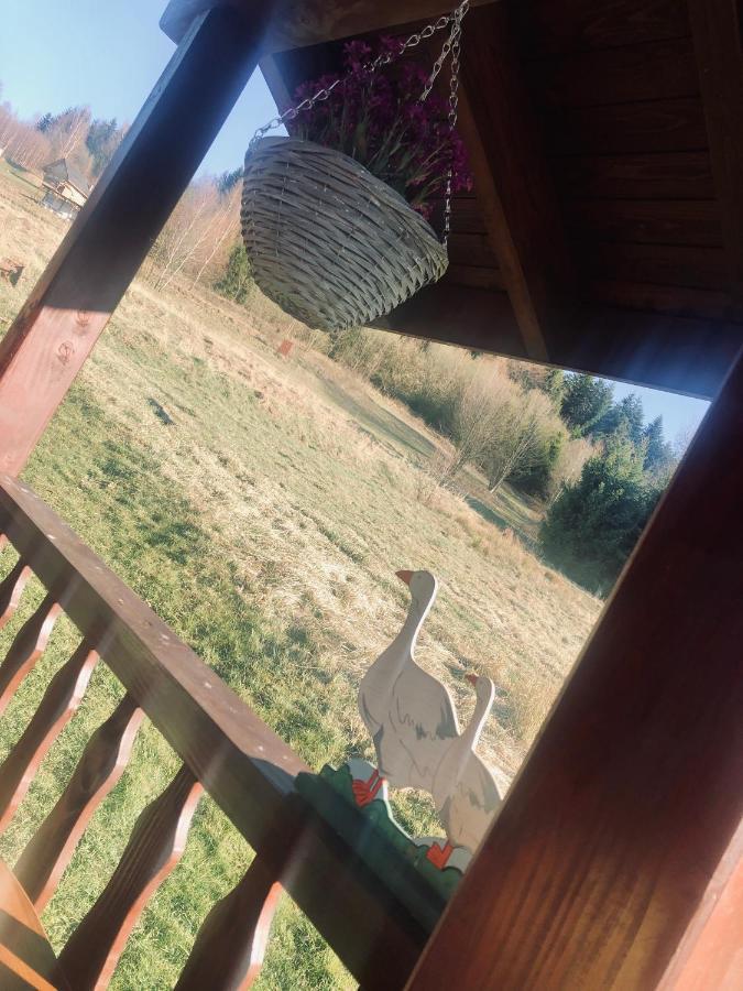 Chalet Ksiazka I Kubek Juszczyna