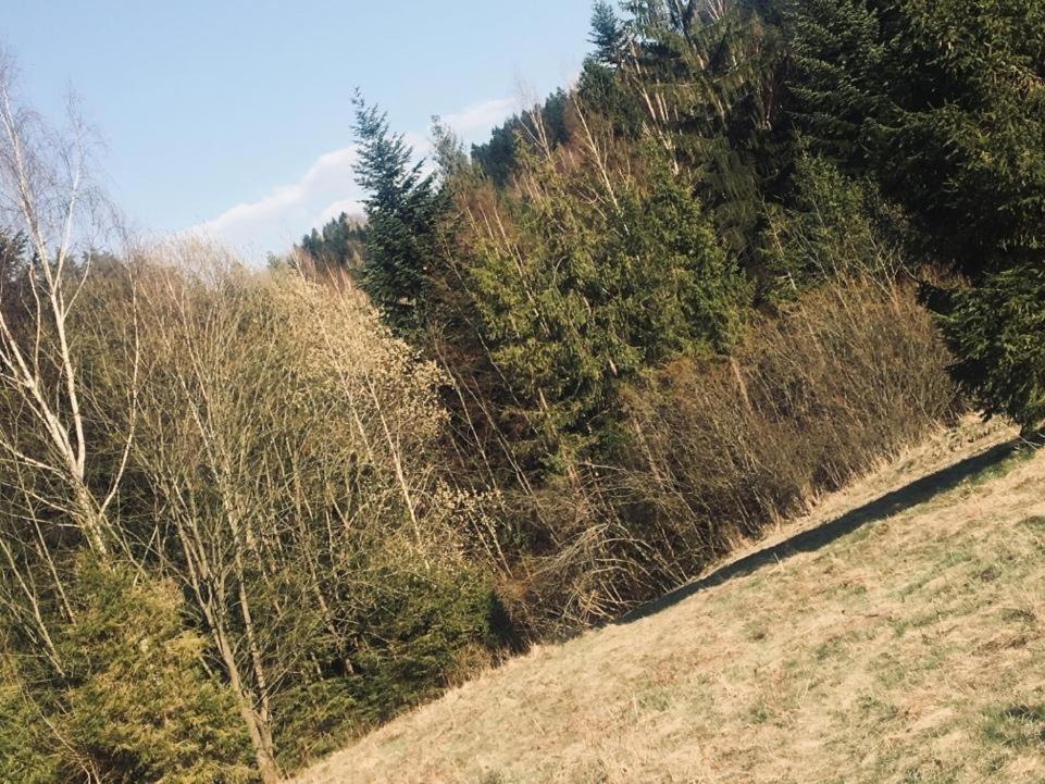 Ksiazka I Kubek Chalet