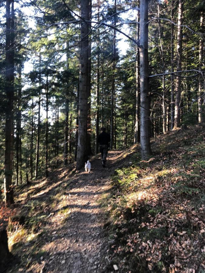 Chalet Ksiazka I Kubek Juszczyna