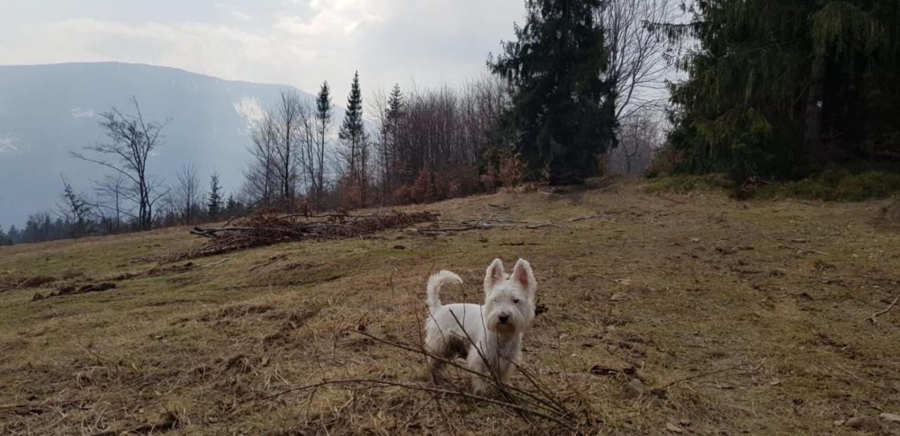 Chalet Ksiazka I Kubek Juszczyna