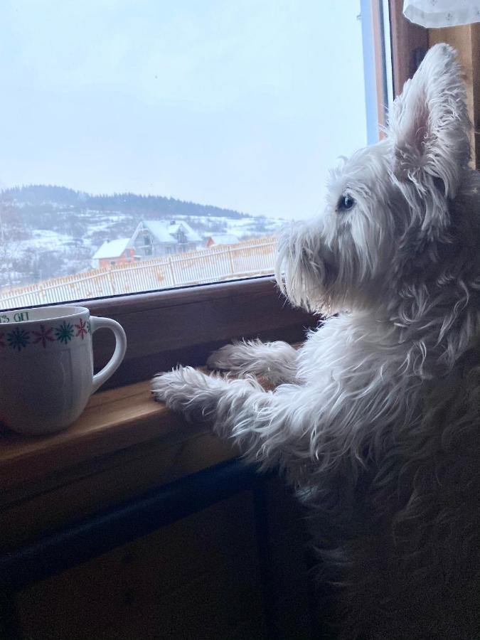 Ksiazka I Kubek *