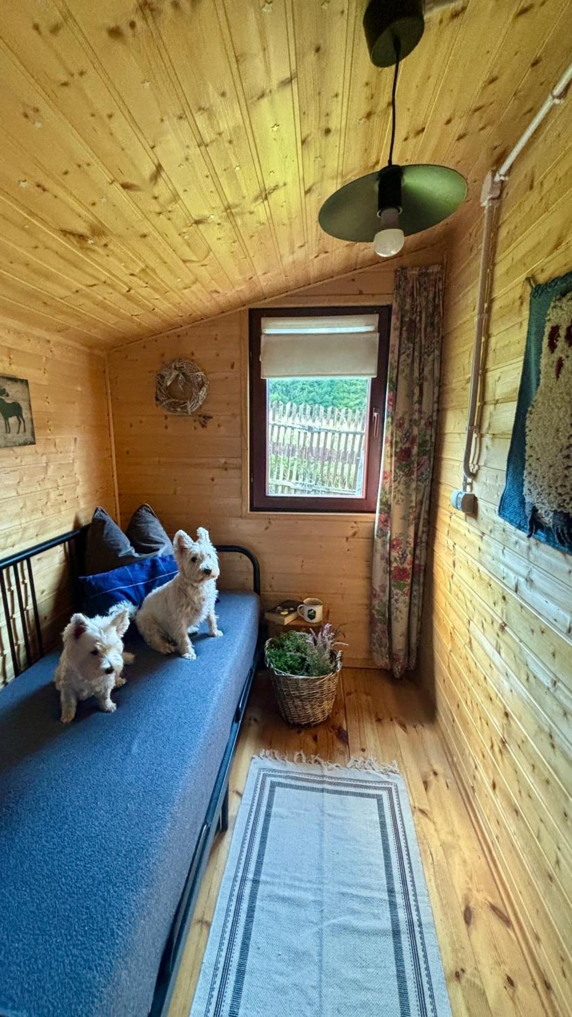 Ksiazka I Kubek Chalet Juszczyna